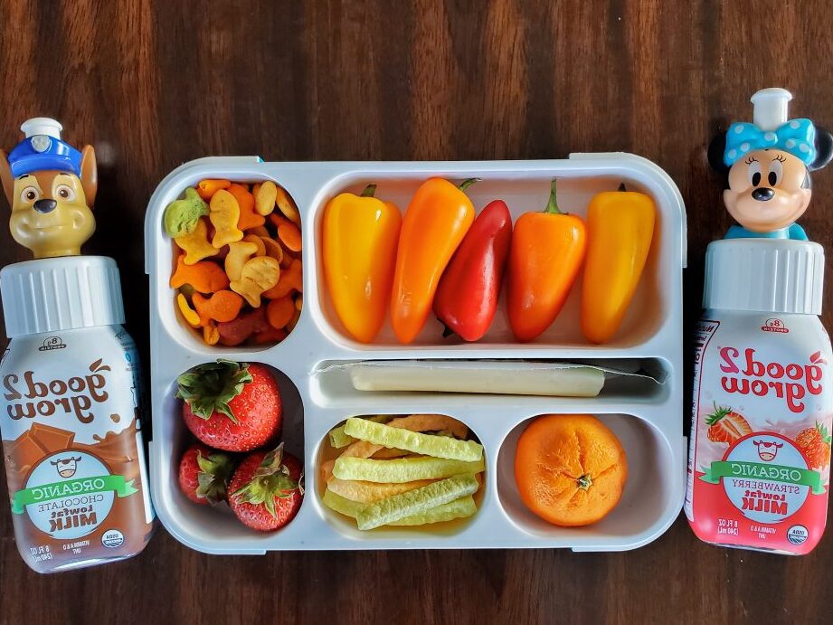 healthy snacks for on the go