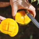 Navigating food intolerances: Tips for a mindful diet